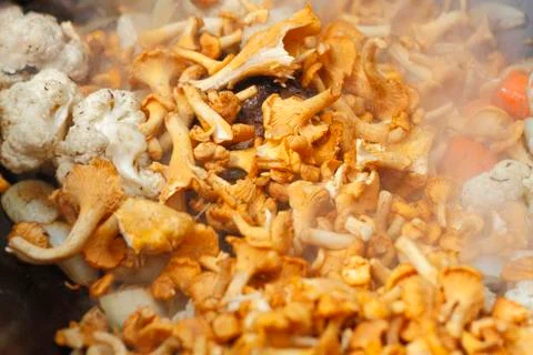 Chanterelle Stock Photos