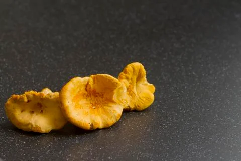 Chanterelle Stock Photos