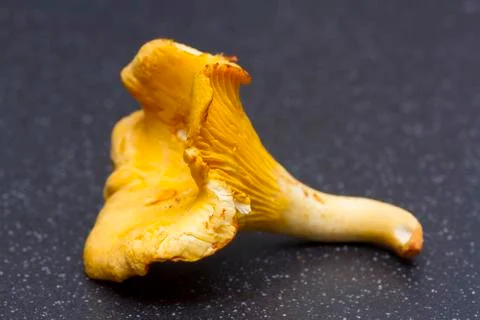 Chanterelle Stock Photos