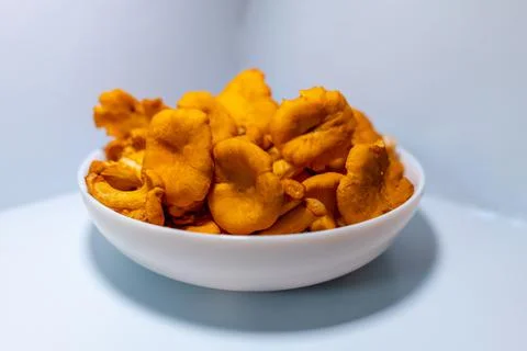 Chanterelle Foto stock