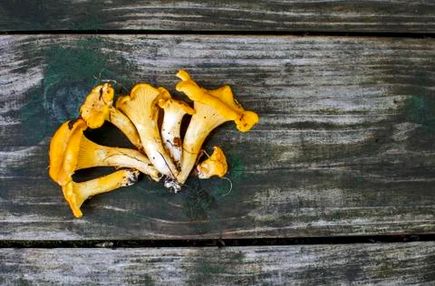 Chanterelles flat lay Foto stock