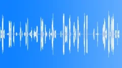 Chaos Transmission - LoopSound Effect