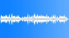 Chaos_Panic_Crowd Sound Effect