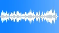 Chaos_StreetCrowd Sound Effect