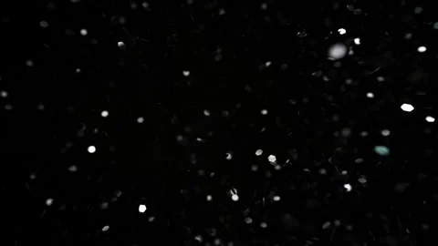 Chaotic abstract movement of silver shiny particles. Bokeh effect. Stock Footage 257465065