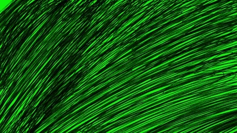 Chaotic Animated Scribble Lines Green Screen Transition. Fast Sketch Video stock 320844514