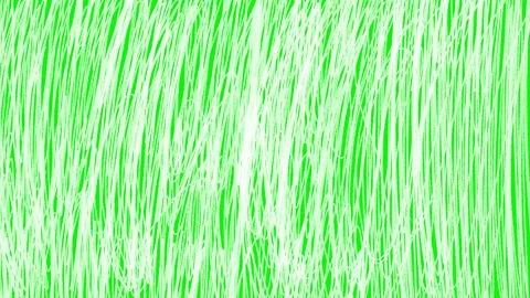 Chaotic Animated Scribble Lines Green Screen Transition. Fast Sketch Video stock 320844557