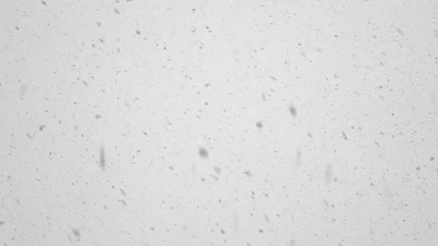 Chaotic ashes movement on light background Stock Footage 102157298