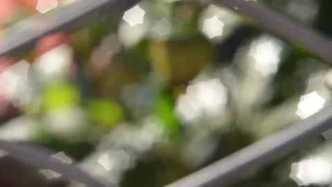 Chaotic flickering Video stock 140703097