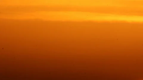 Chaotic flight of birds in the sky Stock Footage 125336673