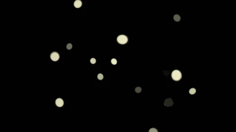 Chaotic flight on a black background Stock Footage 48713469