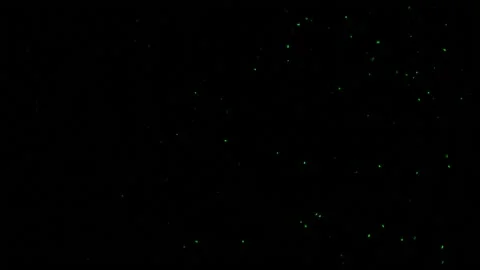 Chaotic Green Particles On Black Background Stock Footage 144870170