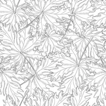 Chaotic maple leaf seamless pattern on white background. Monochrome leaves vi Stockillustratie