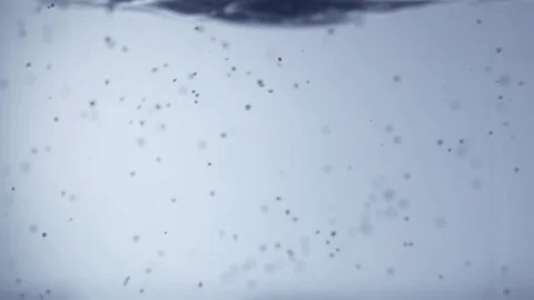 Chaotic movement of air bubbles in clear water Stock-Footage 104905040