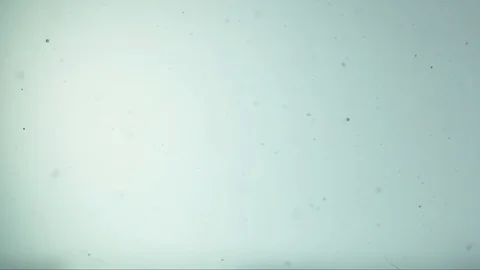 Chaotic movement of air bubbles in the water Stock Footage 105237703