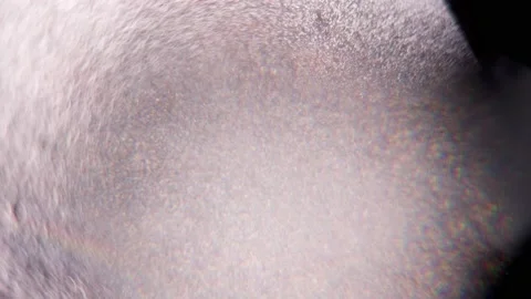 Chaotic Movement of bubbles in a dark background. Stock Footage 151379949