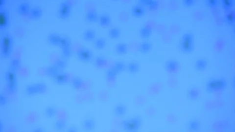 Chaotic movement of small particles Stock Footage 98886492