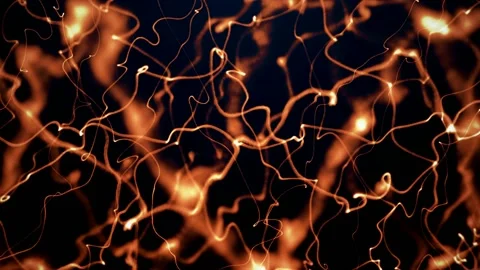 Chaotic movement of threads, for social networks, portfolios, screensavers for I Stock Footage 147539211