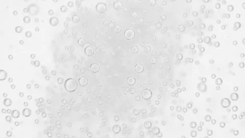 Chaotic moving pattern of bubble isolated on white background Stock Footage 242274133