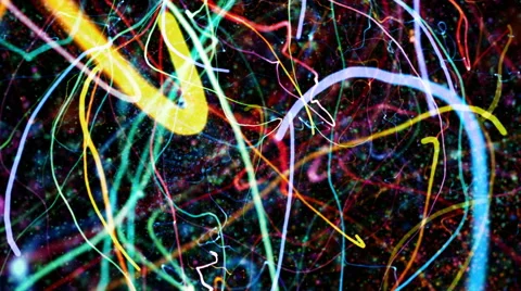 Chaotic Particle Strands Video Background 1507 - HD, 4K Stock-Footage 40299922