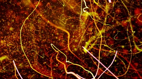 Chaotic Particles Video Background 1502 - 1080p Stock Footage 40296331