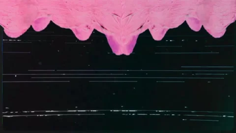 Chaotic Retro Screen Noise Distortion Background Stock Footage 306636963