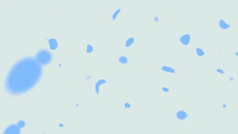 Chaotic stripes. Stock Footage 284363975