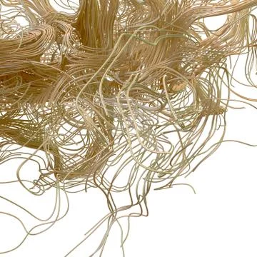 Chaotic volume lines. Abstract 3d illustration. Digital network concept. Stock Illustration