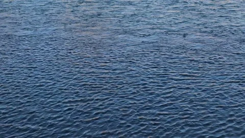 Chaotic wind ripples on water Stock Footage 292920860