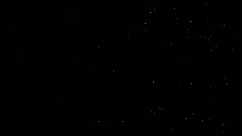 Chaotic Yellow Particles On Black Background 库存影片 144870365