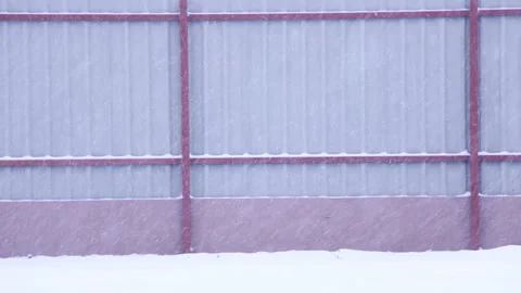 Chaotically falling snow in winter Stock Footage 88059650