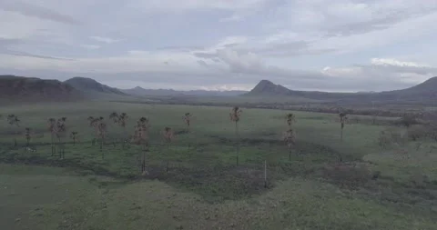 Chapada dos veadeiros Stock Footage 139950891