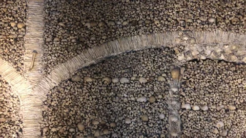 Chapel of Bones (Capela dos Ossos) Stock Footage 199780678