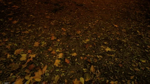 Chapel At Fall ARTCOLORED 02 Pans 스톡 동영상 908982