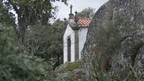 Chapel in the forest of Douro valley Video stock 241742537