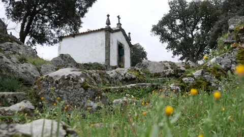 Chapel in the forest of Douro valley Video stock 241748700