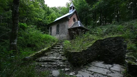 Chapel in the forest 動画素材 213967823