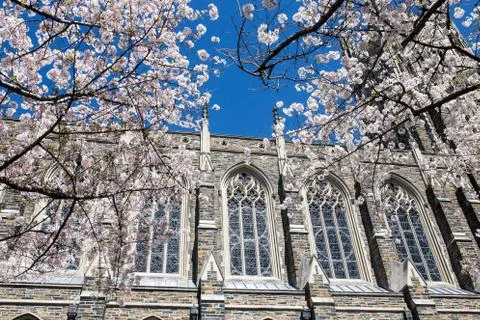 Chapel in Spring Stock Photos