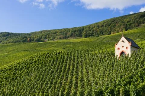 Chapel in vineyard Stock Photos