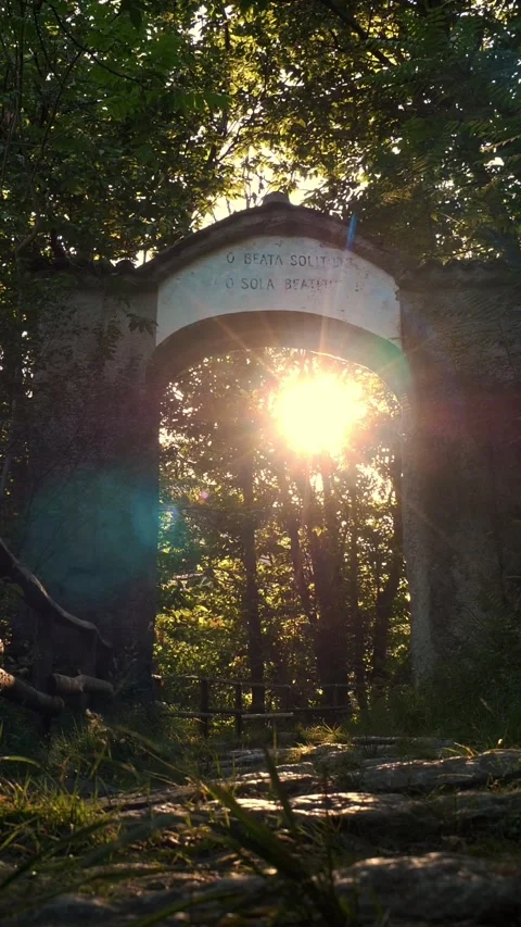 A chapel in the woods. In the summer forest, a beautiful arch of a tomb, Video stock 313232136