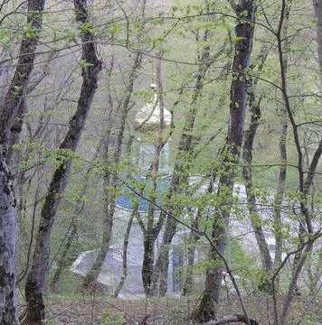 Chaple in the forest Stock Photos