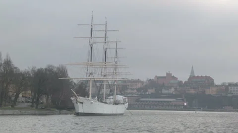 Chapman Stock Footage 33994816