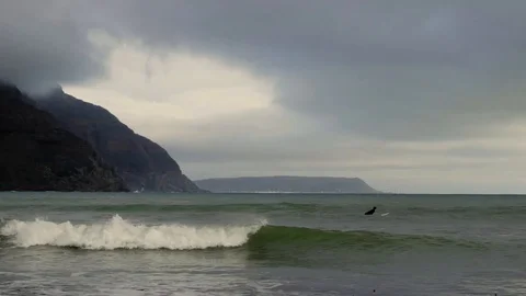 Chapman's Peak Surfer in the Waves Stock Footage 122985266