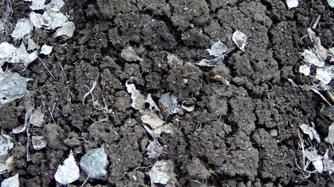 Chapped ground soil with leaves Stock Footage 74389086