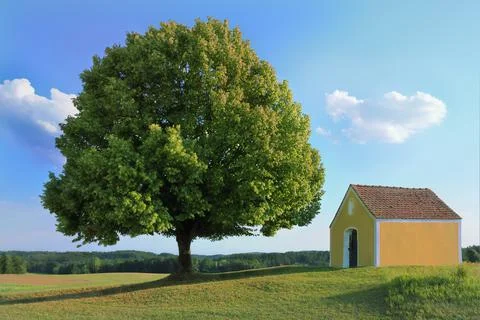 Chappel and large tree Stock Photos