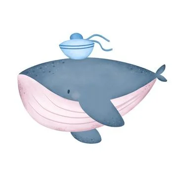 Chapten whale Stock-Illustration