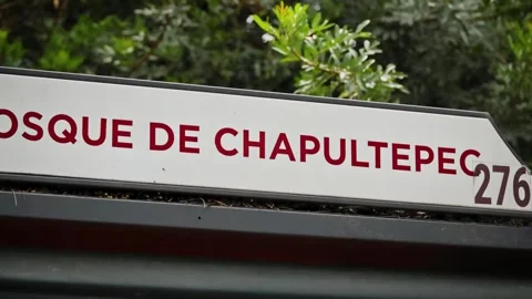 Chapultepec Park Sign Surrounded by Greenery in Mexico City Vídeos de archivo 342269752