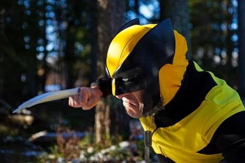 Character dressed as the wolf in the forest Stock Photos