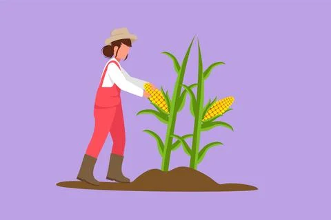 Character flat drawing young female farmer picking the corn on the tree. Pr.. Stock Illustration