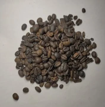 Characteristic of Lampung coffee Stock Photos